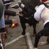 bull3_Cropped.jpg