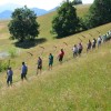 01_kosci_prihajajo_s_dsc_3419.jpg