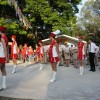 img_0253_kostanj_n__45_.jpg
