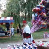 img_0253_kostanj_n__80_.jpg