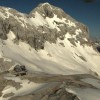 ledenik triglav triglavski zeleni cvet