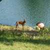 img_7984_23_1_000.jpg