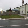 zd001.jpg