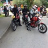 _malkovec_47.jpg