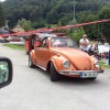 _malkovec_38.jpg