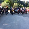 _malkovec_62.jpg