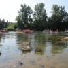 img_8344_45_1_000.jpg