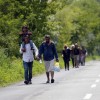 migrant, sirci.jpg