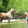 kolpa.jpg