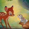 bambi tolkac.jpg