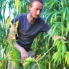 hemptouch_marko_sladi___pri_obiranju_vrhov_konoplje.jpg