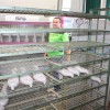 img_0970_kopitarna__17_.jpg