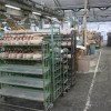 img_0970_kopitarna__16_.jpg