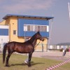 jernejevo_031.jpg
