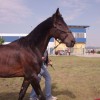 jernejevo_033.jpg