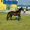 jernejevo_072.jpg