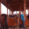 jernejevo_013.jpg