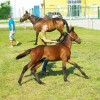 jernejevo_15.jpg