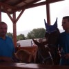 jernejevo_025.jpg