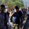 migranti