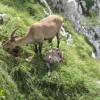 img_3273.jpg
