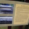 img_1034_mp__11_.jpg
