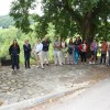 img_1034_mp__15_.jpg