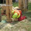 img_4255_000.jpg