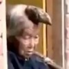 Babica rog 2.jpg