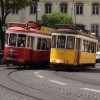 papagaj tramvaj (1).JPG