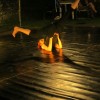 img_8902_1_1_000.jpg
