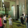 img_8966_15_1_000.jpg