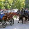 img_9069_16_1_000.jpg