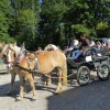 img_9078_20_1_000.jpg