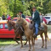img_9083_50_1_000.jpg