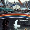 mavrični bojevnik, greenpeace.jpg