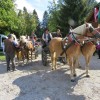 img_9079_51_1_000.jpg
