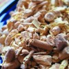 Ajurvedsko zdravilo za skoraj vse tegobe
