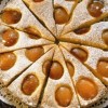 Preprosta marelična torta