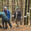 Vojna za koroške gozdove