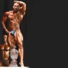 Schwarzenegger iz Kranja
