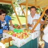img__x_ekopraznik.jpg