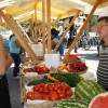 img_1210_ekopraznik__33_.jpg