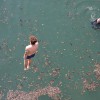 krka_zivi_10.jpg