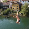 krka_zivi_08.jpg