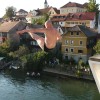 krka_zivi_69.jpg