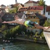krka_zivi_62.jpg