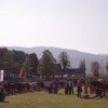 konji__044.jpg