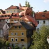 krka_zivi_42.jpg