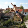 krka_zivi_09.jpg